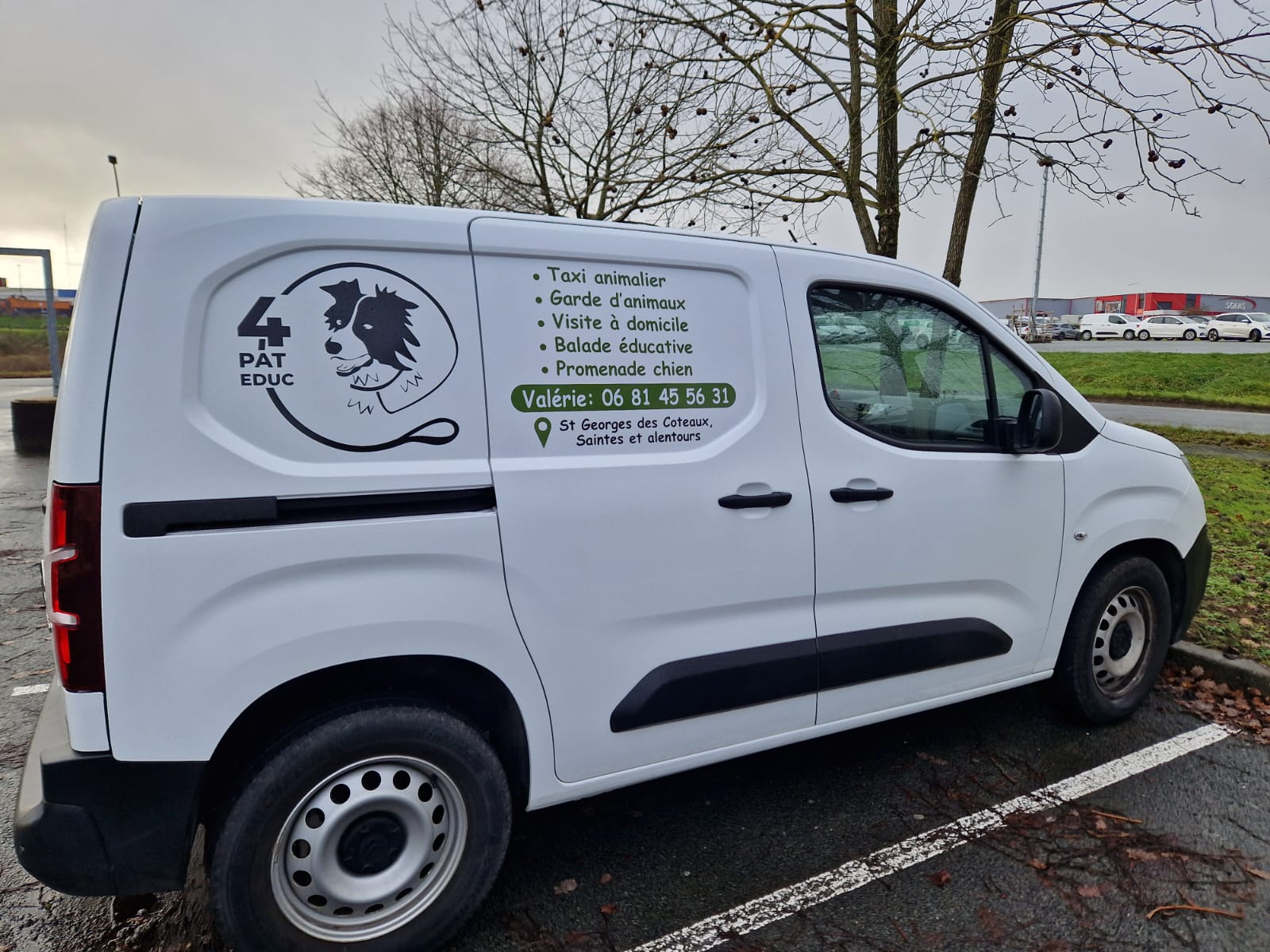 Véhicule de taxi animalier équipé